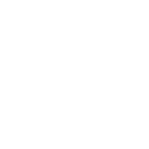 customer